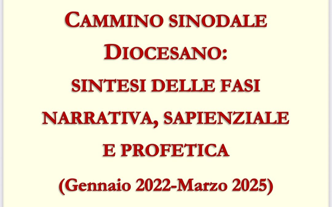 Cammino sinodale diocesano: sintesi delle fasi narrativa, sapienziale e profetica